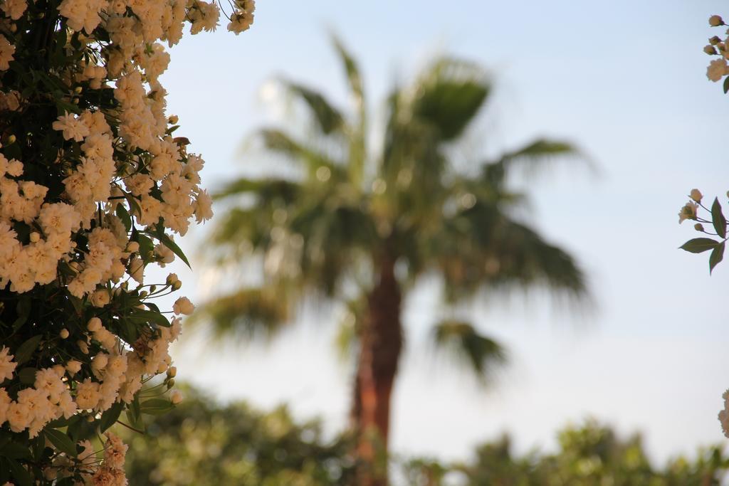 Fincahotel Los Naranjos Son Sardina ภายนอก รูปภาพ